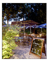 vegetarian restaurants